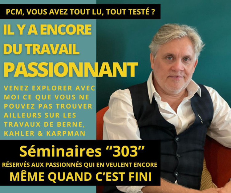 Séminaire VIP 303 PCM - affiche